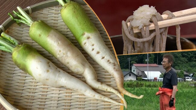 ダイコンの14~15倍の辛みをファンが熱烈支持 あの人気グルメ漫画で「究極」の薬味として紹介された幻のカブ 岩手・遠野|TBS NEWS DIG