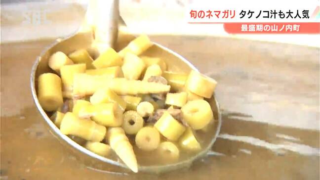 「並べても、並べても…」即売り切れ!ネマガリダケ50キロを「タケノコ汁」で振る舞う 志賀高原・山ノ内町で恒例の「竹の子祭」盛況 長野|TBS NEWS DIG