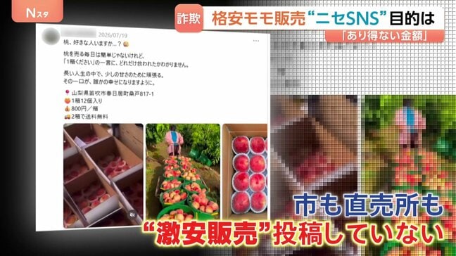 「旬のモモが12個で800円」SNSに“激安販売”投稿相次ぐ 農家や直売所になりすます“悪質行為”132万円だまし取られる詐欺被害も|TBS NEWS DIG