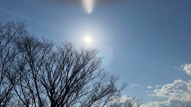東日本太平洋側と西日本　少雨の状態が向こう１か月程度続く可能性　名古屋など降水量が平年の半分以下のところも　農作物や水の管理等に十分に注意を|TBS NEWS DIG