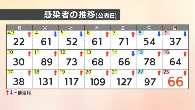 【速報値】愛媛県新型コロナ 新規感染者数66人 9日連続で前週上回る 70歳以上は前週比で7割以上増加　|　愛媛のニュース - Nスタえひめ｜あいテレビは6チャンネル