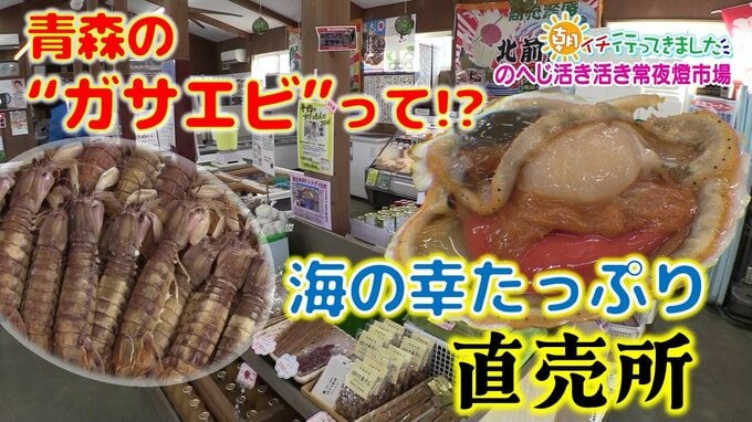 青森で“ガサエビ”と言えば？花見に欠かせない春の味覚にレアなホタテの刺身！海の幸たっぷりの直売所【朝イチ行ってきました】青森・野辺地町　|　青森のニュース│ATV NEWS│青森テレビ