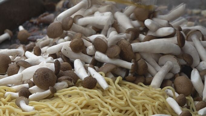 地震で被災し壊滅的な被害のブナシメジ工場 奇跡的に残った「菌」をもとに見事復活 詰め放題イベントに住民は笑顔　|　石川県のニュース｜MRO北陸放送