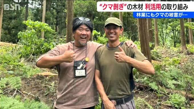 林業にもクマの影響「砕いて燃やすしかなかった」“クマ剥ぎ”された被害材から透けて見える『里山の重要性』新潟・関川村　|　新潟のニュース・天気｜BSN NEWS｜BSN新潟放送