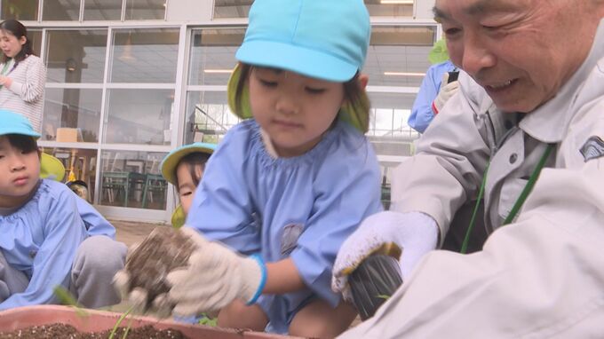 幼稚園児「大きくなあれ」願い込め ゴーヤーの苗植え付け 高さ２～３メートル・緑のカーテンに　山口・山陽小野田　|　山口のニュース・天気・防災｜tys NEWS｜ｔｙｓテレビ山口