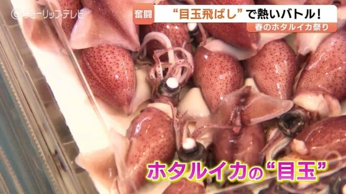 食べてよし、飛ばしてよし？滑川でホタルイカ祭り「目玉飛ばし」優勝の小学生が明かした“意外な特訓法”とは　富山・滑川市　|　富山のニュース｜天気・防災｜チューリップテレビ