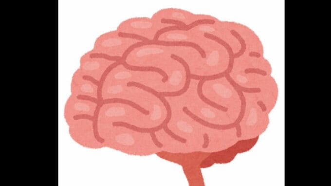 「小1の担任の名前、覚えてる？」全国もの忘れ度調査　“忘れていない都道府県”はどこ？|TBS NEWS DIG