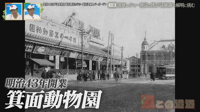 大阪にある温泉レジャー施設には｢動物園｣があった！古びた｢神社｣も発見…敷地内の“廃道”から見る歴史|TBS NEWS DIG
