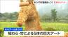 稲わらアートの“カピパラ”温泉でほっこり！　テーマは「ぽかぽか温泉会議～湿地の動物大集合！～」　わらアートまつり開幕　新潟・西蒲区　|　新潟のニュース・天気｜BSN NEWS｜BSN新潟放送
