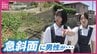 フェンスの奥で震える男性　高さ20ｍの急斜面「なんかヤバい」仲良し女子中学生ペアと近隣住民による真夏の救出劇　広島　|　RCC NEWS | 広島ニュース | RCC中国放送