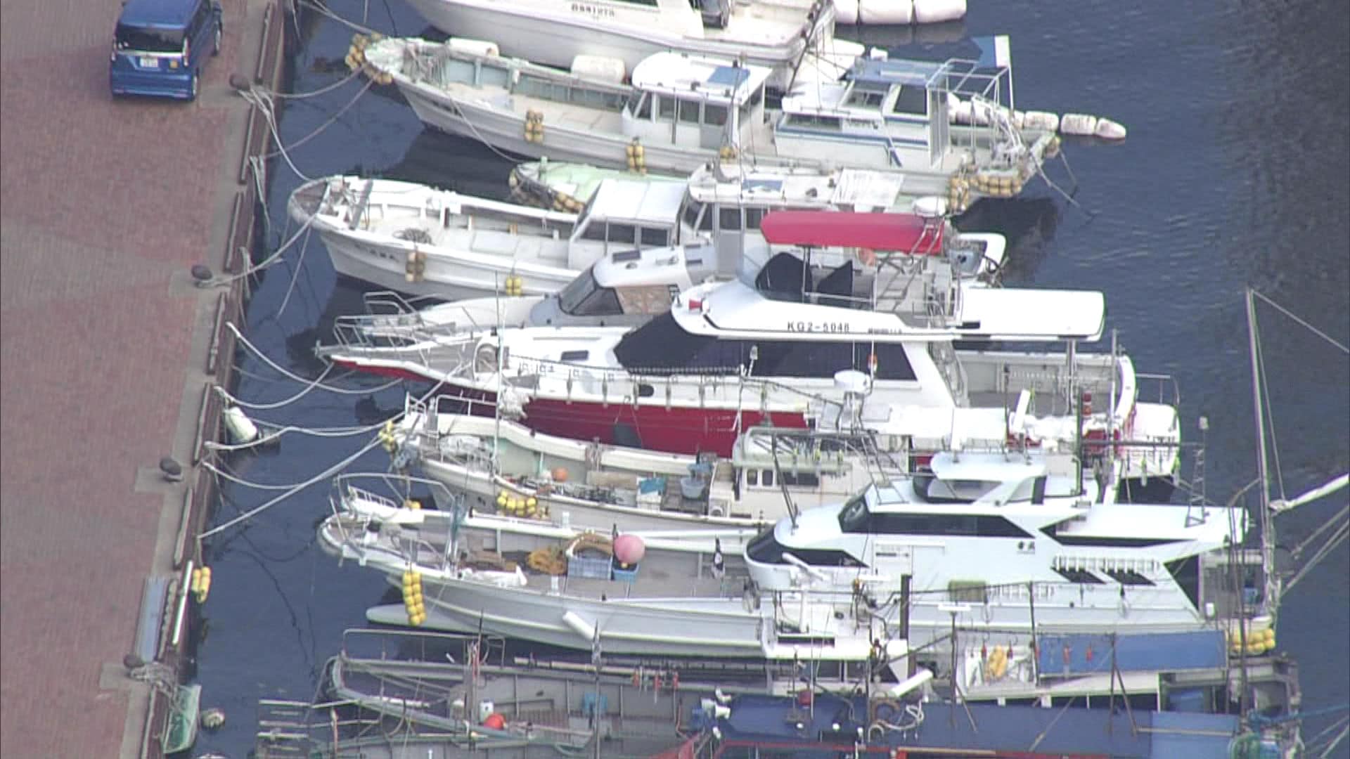 img_385bea869d1146d2c44a37a4ab