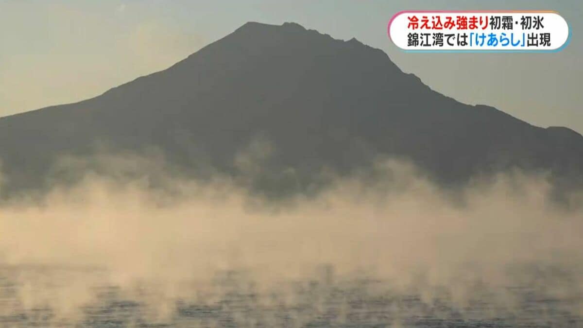 img_3880d3b9cabaae9195899cb0f2