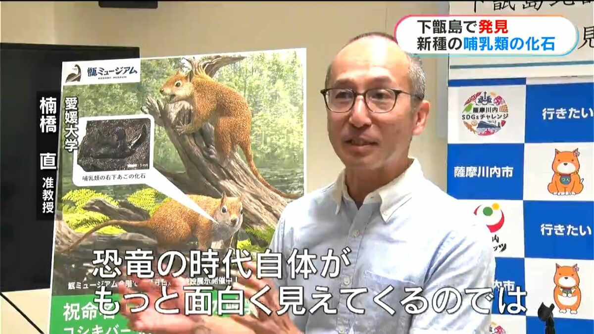 約8000万年前の新種哺乳類の化石発見！ リスやネズミに似た小型哺乳類