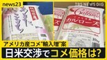 日米関税交渉でコメ価格は？アメリカ産米6万トン輸入増やす案浮上　ジャガイモ輸入拡大も要求に農家は？　現在アメリカからの輸入はチップス用に限定【news23】|TBS NEWS DIG