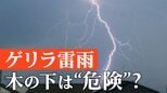 雷が発生したら「木の下」は危険 「電線の下」への避難 ゲリラ雷雨に要注意|TBS NEWS DIG