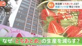 「とちおとめ」が消える!?イチゴ生産量日本一の“いちご王国・栃木”で異変 代表品種の大幅減産に隠された“秘策”とは?|TBS NEWS DIG