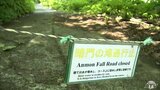 世界遺産・白神山地「暗門の滝」に続く歩道が大雨で流される　10か所以上が崩れ…　2022年8月の大雨でも歩道が流された過去　近くのキャンプ場は「とても心配」　|　青森のニュース│ATV NEWS│青森テレビ