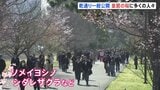 皇居･乾通り｢春の一般公開｣スタート 約100本の桜が並び、晴天のもと観光客らでにぎわう　3月29日まで開催|TBS NEWS DIG