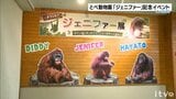 オランウータン「ジェニファー」の記念イベント　横浜からの来園も　愛媛・とべ動物園|TBS NEWS DIG