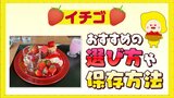 品種によってはまだ楽しめるイチゴ 選ぶときのコツや美味しい食べ方とは?|TBS NEWS DIG