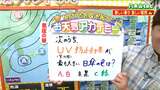UV防止効果が最も大きい日傘の色は 白?黒?緑?それとも…tbc気象台 | 宮城のニュース│tbc NEWS│tbc東北放送