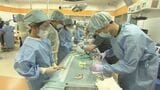 電気メスで模擬手術を体験 夏休みの子どもたちが医療の仕事見学 福島 | 福島のニュース│TUF