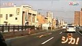 「え、え、えぇ!なぜここに?」 仙台市内の国道をシカ激走 田んぼにも・・・!|TBS NEWS DIG