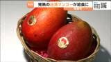台湾・台南市長から完熟マンゴー贈られる 塩竃市内の中学校2校で提供 | 宮城のニュース│tbc NEWS│tbc東北放送