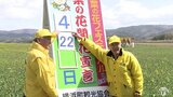 「この日を待ち焦がれていた」横浜町の菜の花が開花宣言　今年は４年ぶりにフェスティバルも開催|TBS NEWS DIG