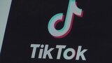 【速報】米でTikTok規制法発効前に TikTok側はサービスを停止|TBS NEWS DIG