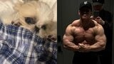 【 横川尚隆 】愛犬・茶々のお気に入りは「おれの大胸筋上部」 フォロワー絶賛「戦車みたいな体」|TBS NEWS DIG