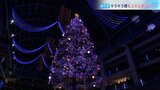 商業施設で高さ15メートルのジャンボクリスマスリー点灯 約5万個のLEDが一足早いクリスマスシーズンの訪れを演出 札幌・サッポロファクトリー|TBS NEWS DIG