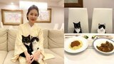 【藤あや子】愛猫が食卓にちょこん「マルオレ食堂」カレーとパスタにご満悦|TBS NEWS DIG