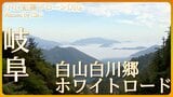 紅葉と雲海・奇跡の競演【JNN 紅葉ドローンDIG】 | 名古屋・愛知・岐阜・三重のニュース【CBC news】 | CBC web