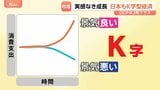 「ボーナス多かった」高額消費の一方で「節約に」 GDP3期連続のプラス成長も専門家が指摘する二極化「K字型経済」とは|TBS NEWS DIG