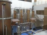 「遺伝子レベルまで突き詰めた唯一無二の一杯目指す」静岡発“クラフトジン”1月試験製造へ 家康がこよなく愛した“門外不出ワサビ”が決め手 | 静岡のニュース | SBSNEWS | 静岡放送