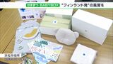 「生まれた時から地元のものに触れて」“おくるみ”など詰め合わせ！「はままつBABYBOX」が誕生|TBS NEWS DIG