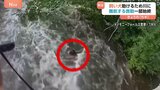 飼い犬を助けるため川に飛び込む 難航する救助の一部始終|TBS NEWS DIG