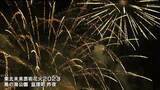 東日本大震災からの復興と発展を願い花火打ち上げ「東北未来芸術花火」宮城・亘理町 | 宮城のニュース│tbc NEWS│tbc東北放送