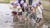 保育園児が田植えを体験 泥だらけになって頑張った 秋に収穫しておにぎりに 愛知・豊川市 みと保育園 御津南部保育園 | 名古屋・愛知・岐阜・三重のニュース【CBC news】 | CBC web