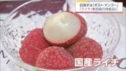 「マンゴーよりもライチやな」　国内流通わずか2％未満の超希少な「生ライチ」を特産品に　関係者の挑戦　|　MRTニュース ｜ ＭＲＴ宮崎放送