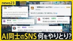 【AIで完結する世界】AIだけのSNSが出現…何をやり取り？人間は蚊帳の外？最悪の被害額の“特殊詐欺”「AIでだましAIが見破る」【news23】| TBS CROSS DIG with Bloomberg