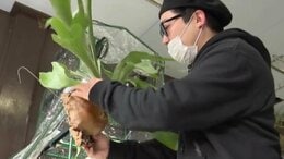 今、若者がハマる観葉植物「家をジャングルにしたい」「壁から生えているよう」　需要変化に農家も100種以上で対応|TBS NEWS DIG