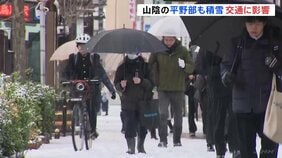 「市街地でも積雪」鳥取で積雪6センチ（午前9時時点） JR山陰線・伯備線で運休や遅れ相次ぐ　空港でもダイヤ乱れる|TBS NEWS DIG