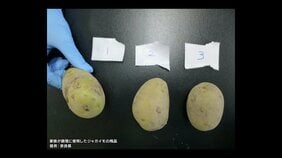 「ジャガイモによる食中毒」が奈良県で発生　国内では2年ぶりの公式確認　ポトフ食べた家族が喉の違和感や吐き気　重症者はなし　加熱予防が効かない有毒成分「ソラニン類」に注意|TBS NEWS DIG