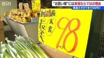 なんと!県産ネギが7本入って98円!!! “安さの秘密”に『新潟ならではの理由』青果店に聞く「今お買い得なお野菜」は?|TBS NEWS DIG