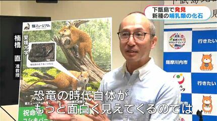 約8000万年前の新種哺乳類の化石発見！ リスやネズミに似た小型哺乳類