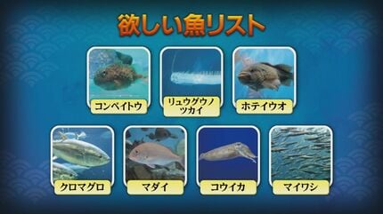 定置網漁で獲れた魚はゴールデンウィークの水族館に展示 幻の深海魚