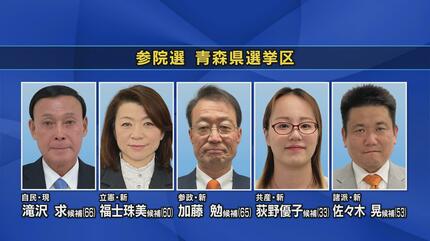 戦後青森県議会議員選挙と正副議長 Amazon.co.jp: 戦後青森県議会議員選挙と正副議長: 地方政治の“名望家