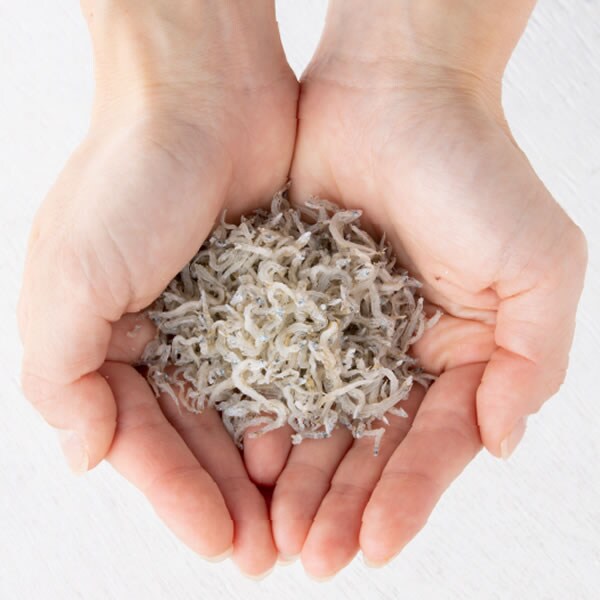 「じゃこ天、貧乏くさい」秋田県知事発言の一方で…こちらの「じゃこ」は貧乏くさいなんてとんでもない　しらす不漁、ちりめんじゃこ「価格高騰」でピンチ|TBS NEWS DIG